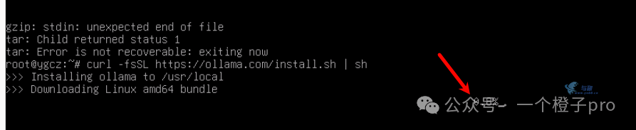 20250213143215967 飞牛NAS部署DeepSeek R1大模型